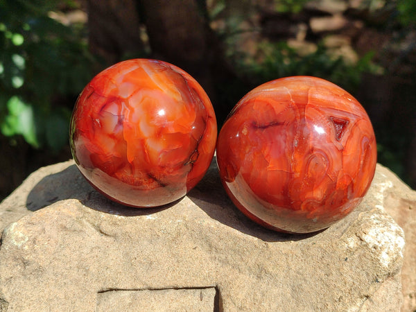 Polished Carnelian Agate Spheres x 3 From Madagascar