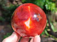 Polished Carnelian Agate Spheres x 3 From Madagascar