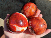 Polished Carnelian Agate Spheres x 3 From Madagascar