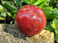 Polished Carnelian Agate Spheres x 3 From Madagascar