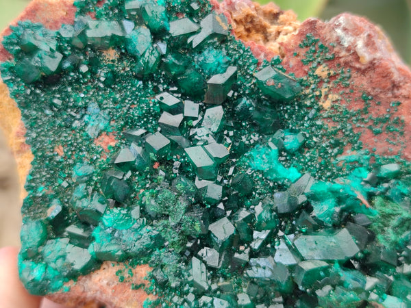 Natural Large Dioptase On Dolomite Specimen x 1 From Mashamba West Mine, Congo