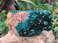 Natural Large Dioptase On Dolomite Specimen x 1 From Mashamba West Mine, Congo