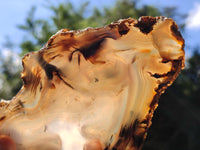 Polished Banded Agate Slices x 6 From Madagascar