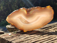 Polished Banded Agate Slices x 6 From Madagascar