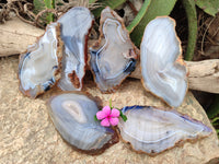 Polished Banded Agate Slices x 6 From Madagascar