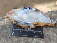 Polished Banded Agate Slices x 6 From Madagascar