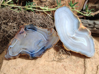 Polished Banded Agate Slices x 6 From Madagascar