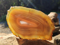 Polished Banded Agate Slices x 6 From Madagascar