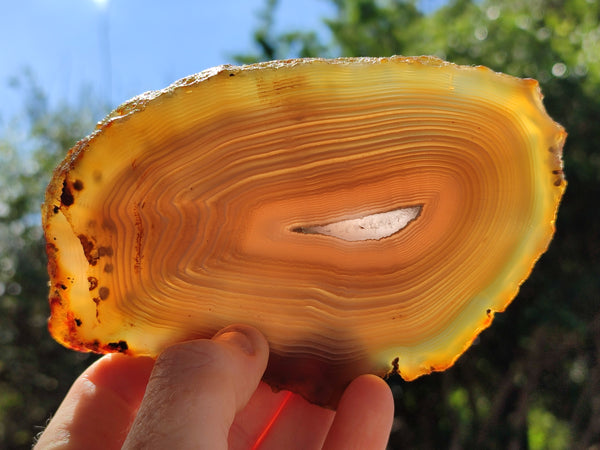 Polished Banded Agate Slices x 6 From Madagascar
