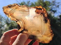 Polished Banded Agate Slices x 6 From Madagascar