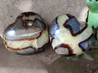 Polished Fossilized Septerye Hearts x 6 From Mahajanga, Madagascar