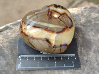 Polished Fossilized Septerye Hearts x 6 From Mahajanga, Madagascar