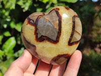 Polished Fossilized Septerye Hearts x 6 From Mahajanga, Madagascar