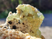 Natural Fluorescent Opal Hyalite with Schorl Tourmaline Specimens x 2 From Erongo, Namibia