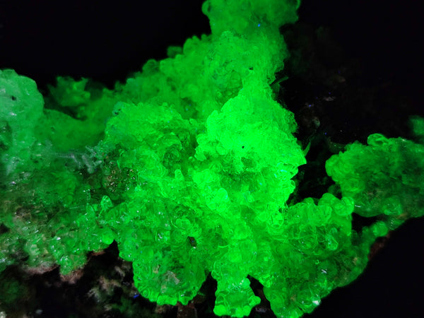 Natural Fluorescent Opal Hyalite with Schorl Tourmaline Specimens x 2 From Erongo, Namibia