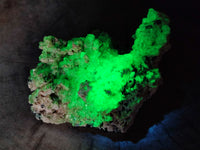 Natural Fluorescent Opal Hyalite with Schorl Tourmaline Specimens x 2 From Erongo, Namibia