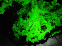 Natural Fluorescent Opal Hyalite with Schorl Tourmaline Specimens x 2 From Erongo, Namibia