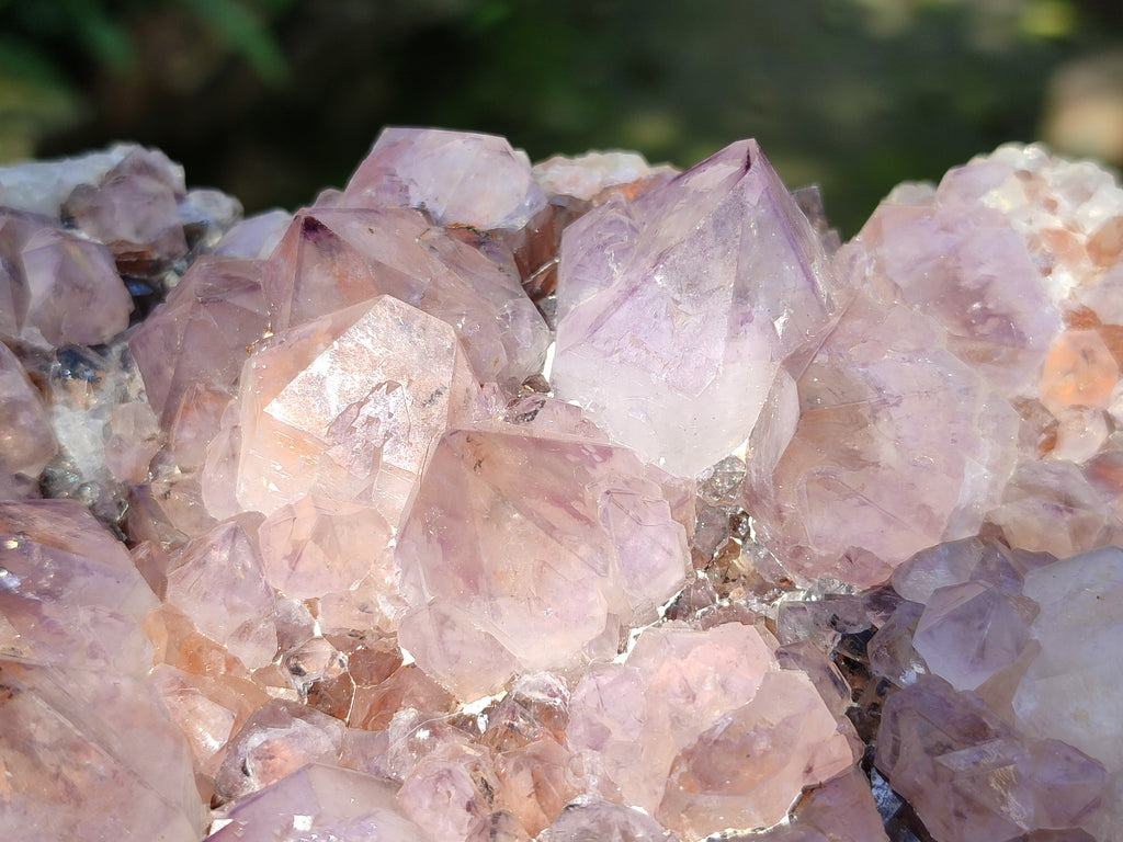 Natural Cactus Flower Sunburst Spirit Amethyst Clusters x 2 From South Africa - Toprock Gemstones and Minerals 