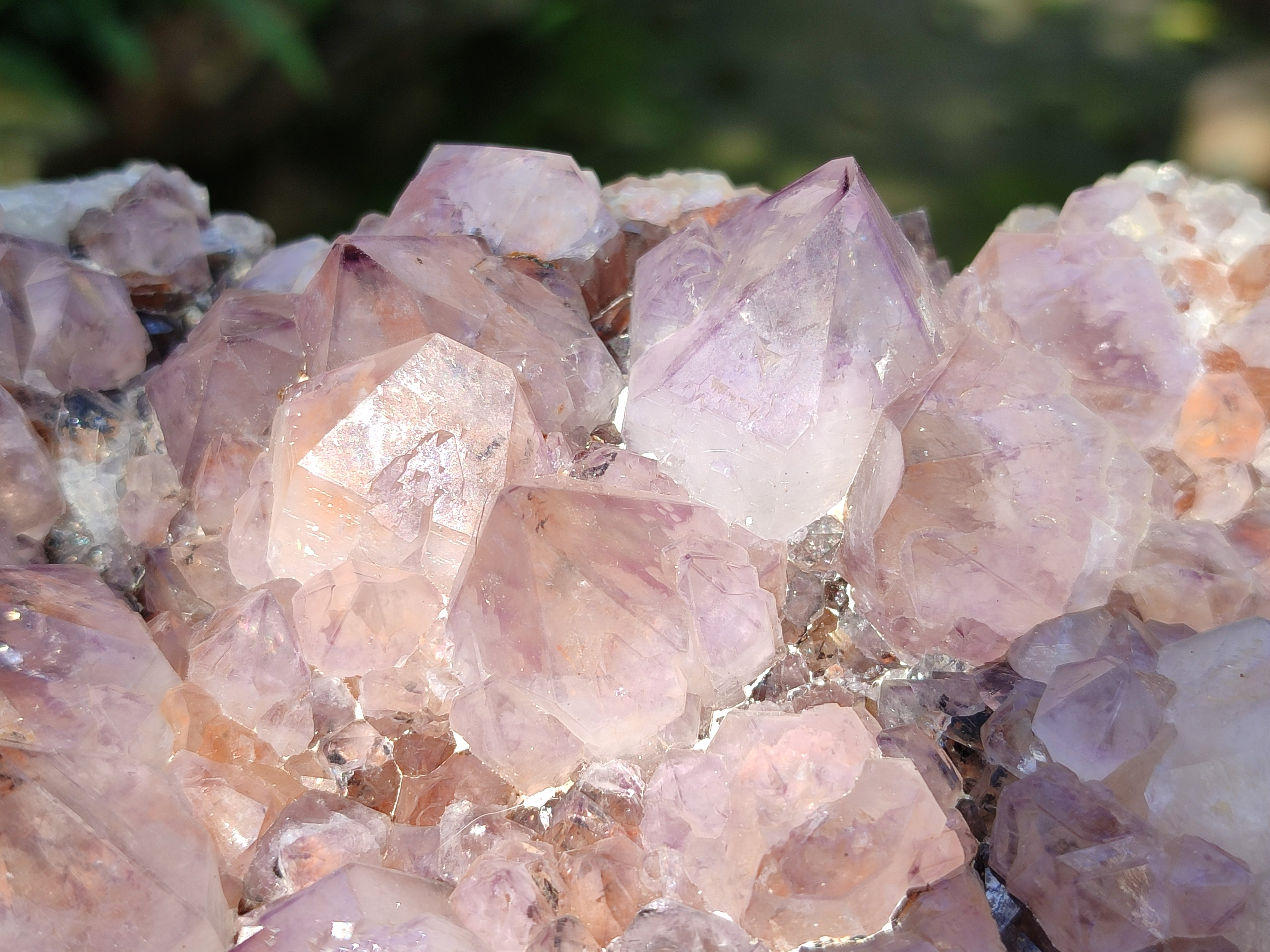 Natural Cactus Flower Sunburst Spirit Amethyst Clusters x 2 From South Africa - Toprock Gemstones and Minerals 