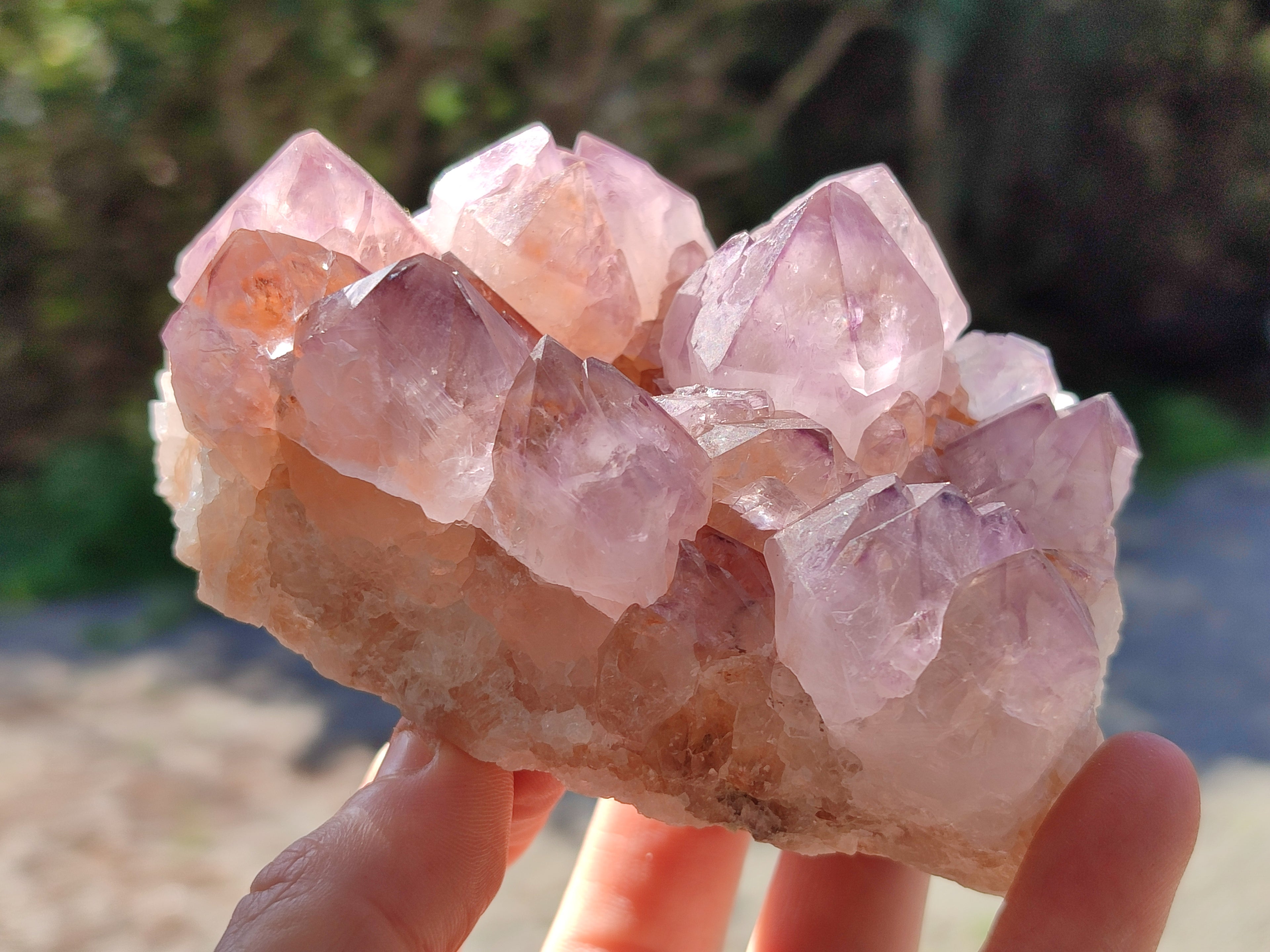 Natural Cactus Flower Sunburst Spirit Amethyst Clusters x 2 From South Africa - Toprock Gemstones and Minerals 