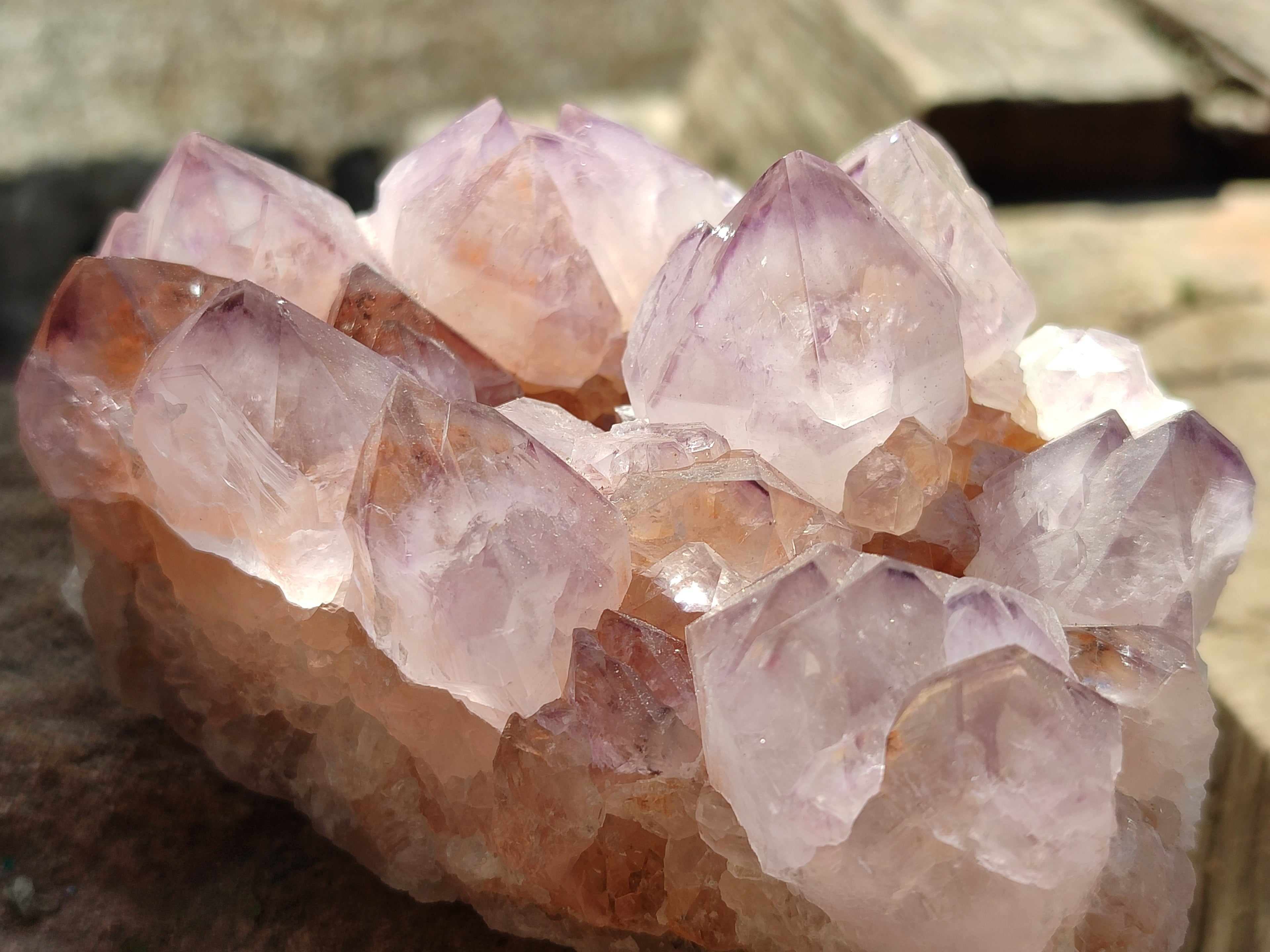 Natural Cactus Flower Sunburst Spirit Amethyst Clusters x 2 From South Africa - Toprock Gemstones and Minerals 