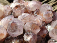 Natural Cactus Flower Sunburst Spirit Amethyst Clusters x 2 From South Africa