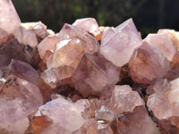 Natural Cactus Flower Sunburst Spirit Amethyst Clusters x 2 From South Africa