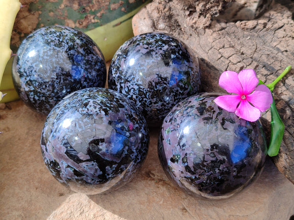 Polished Gabbro / Merlinite Sphere x 4 From Madagascar