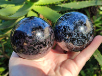 Polished Gabbro / Merlinite Sphere x 4 From Madagascar