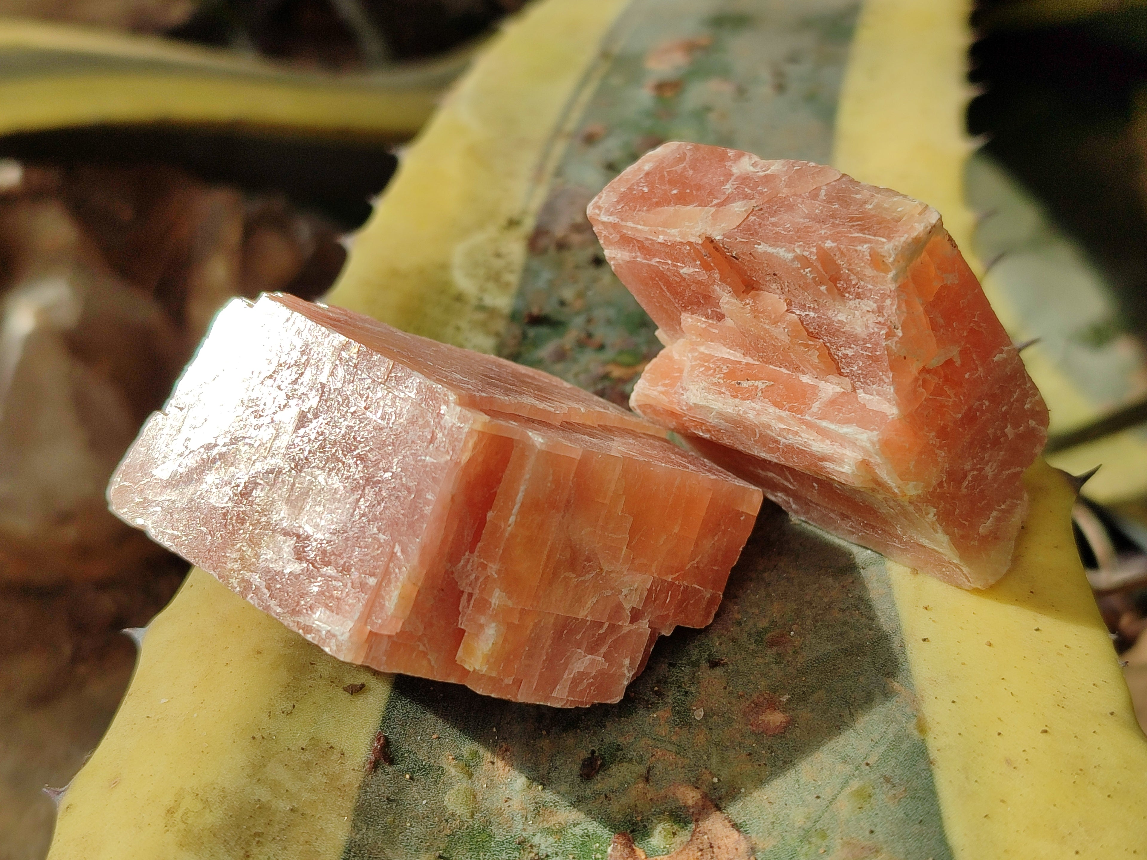 Natural Sunset Orange Rhombohedron Calcite Specimens x 35 From Spitzkop, Namibia - Toprock Gemstones and Minerals 