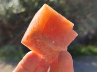Natural Sunset Orange Rhombohedron Calcite Specimens x 35 From Spitzkop, Namibia