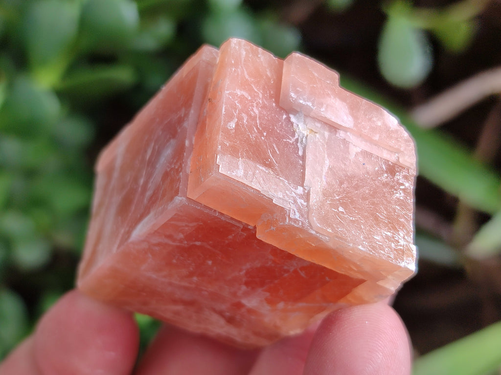Natural Sunset Orange Rhombohedron Calcite Specimens x 35 From Spitzkop, Namibia - Toprock Gemstones and Minerals 