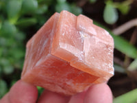 Natural Sunset Orange Rhombohedron Calcite Specimens x 35 From Spitzkop, Namibia
