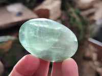 Polished Green Fluorite Palm Stones x 20 From Madagascar