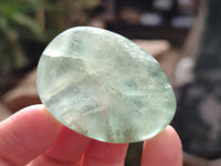 Polished Green Fluorite Palm Stones x 20 From Madagascar