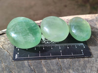 Polished Green Fluorite Palm Stones x 20 From Madagascar