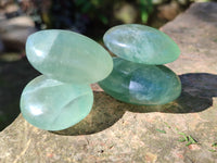 Polished Green Fluorite Palm Stones x 20 From Madagascar