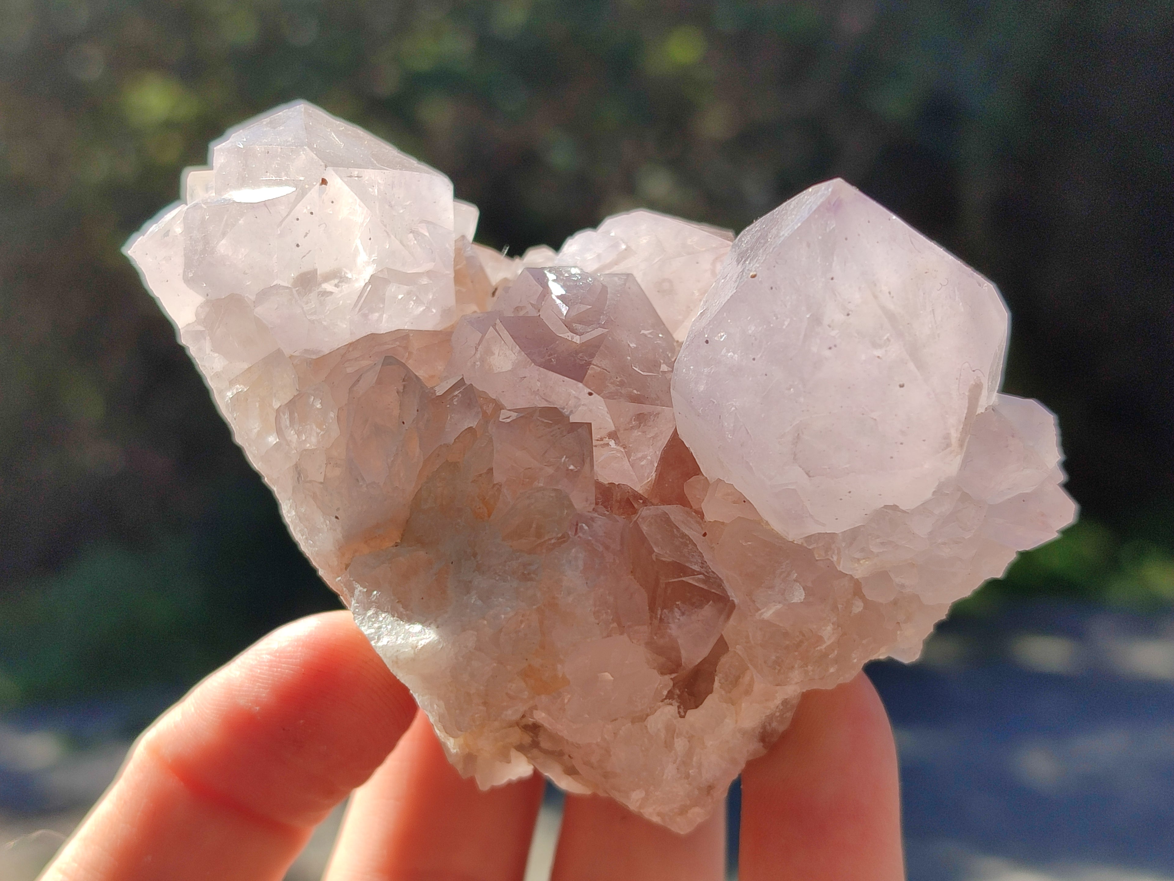 Natural White Cactus Spirit Amethyst Clusters x 6 From South Africa - Toprock Gemstones and Minerals 