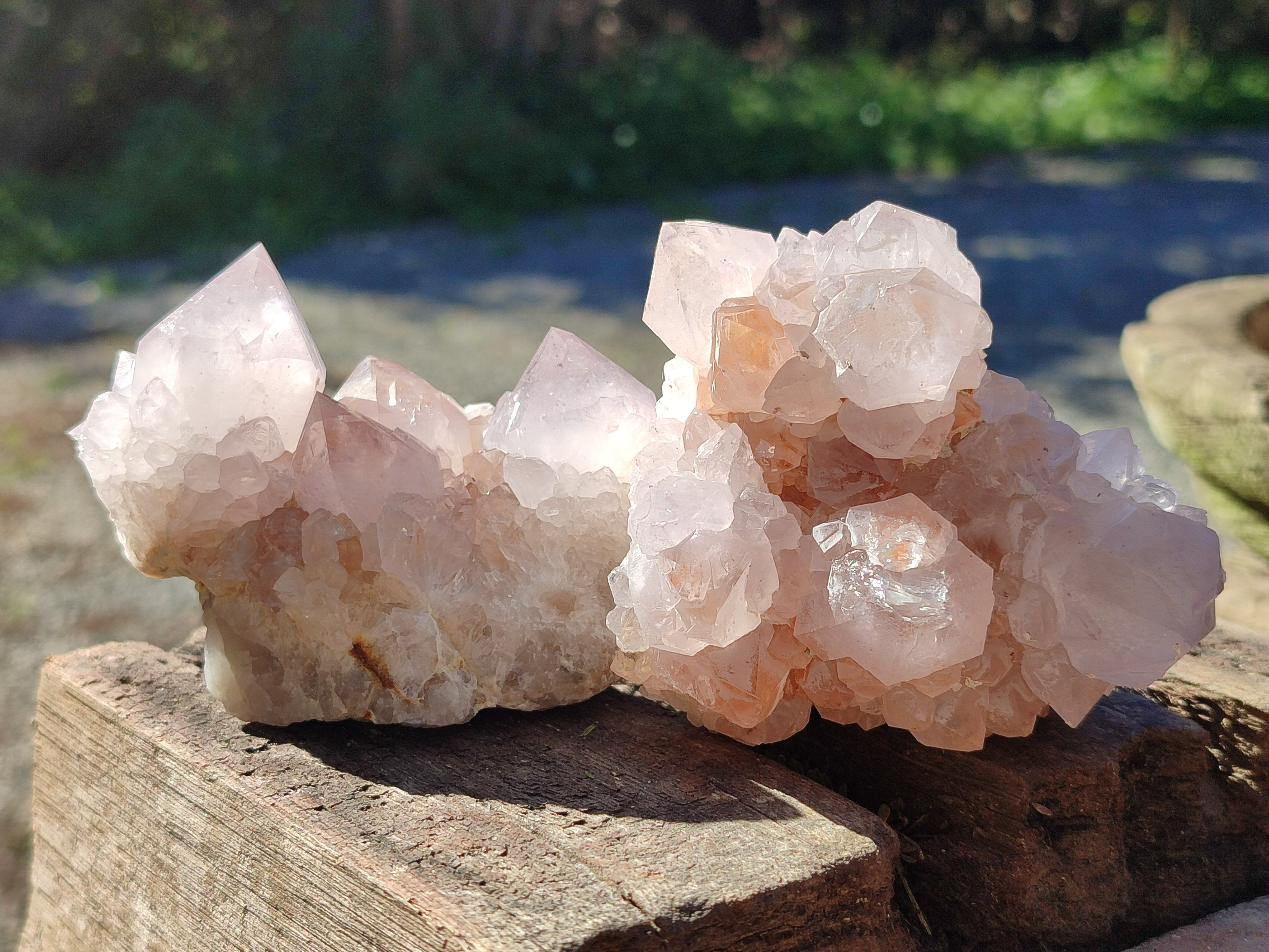 Natural White Cactus Spirit Amethyst Clusters x 6 From South Africa - Toprock Gemstones and Minerals 