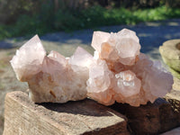 Natural White Cactus Spirit Amethyst Clusters x 6 From South Africa