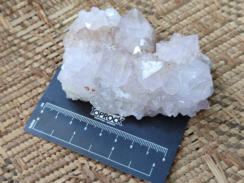 Natural White Cactus Spirit Amethyst Clusters x 6 From South Africa - Toprock Gemstones and Minerals 