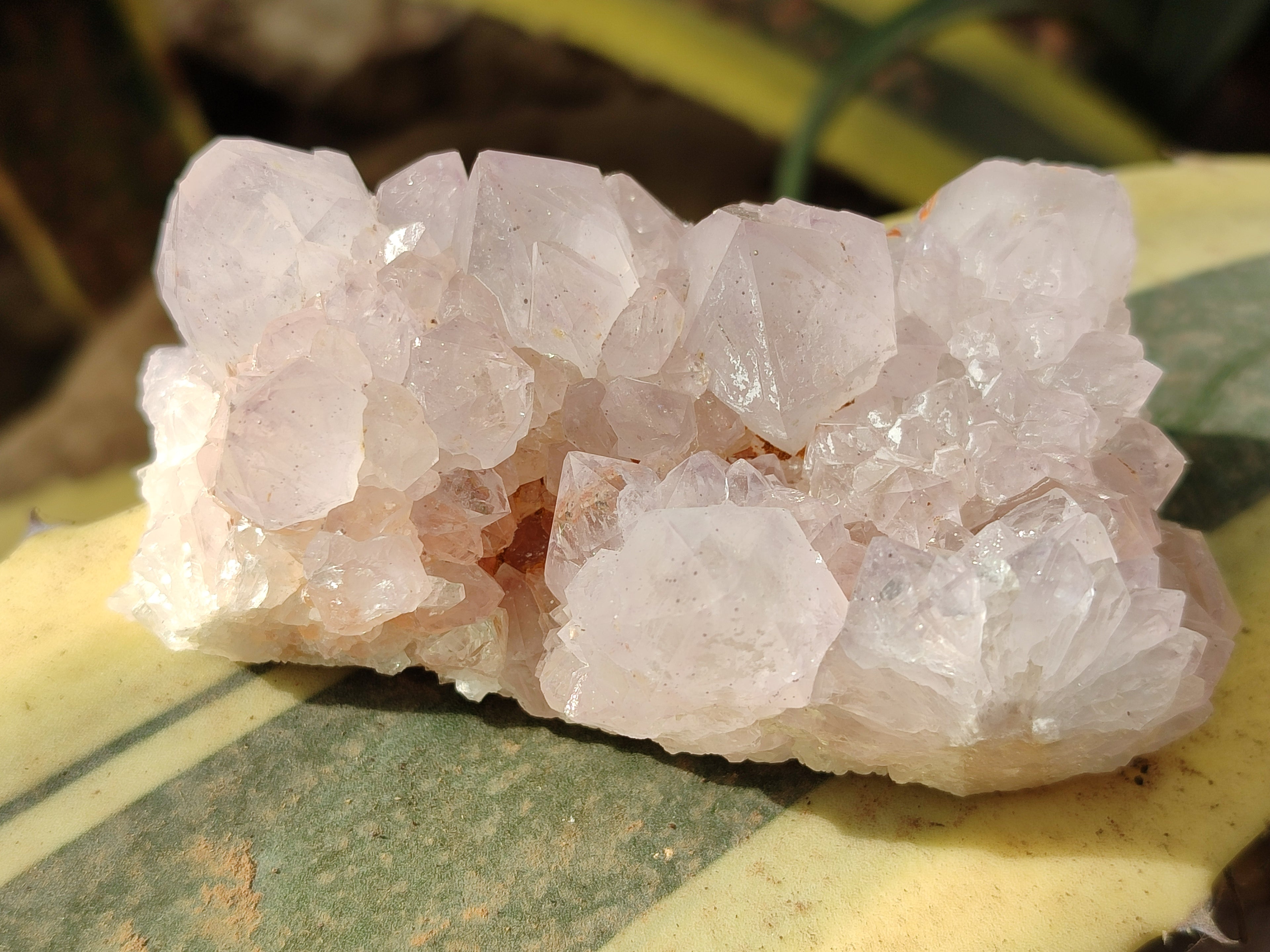 Natural White Cactus Spirit Amethyst Clusters x 6 From South Africa - Toprock Gemstones and Minerals 
