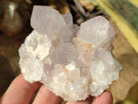 Natural White Cactus Spirit Amethyst Clusters x 6 From South Africa