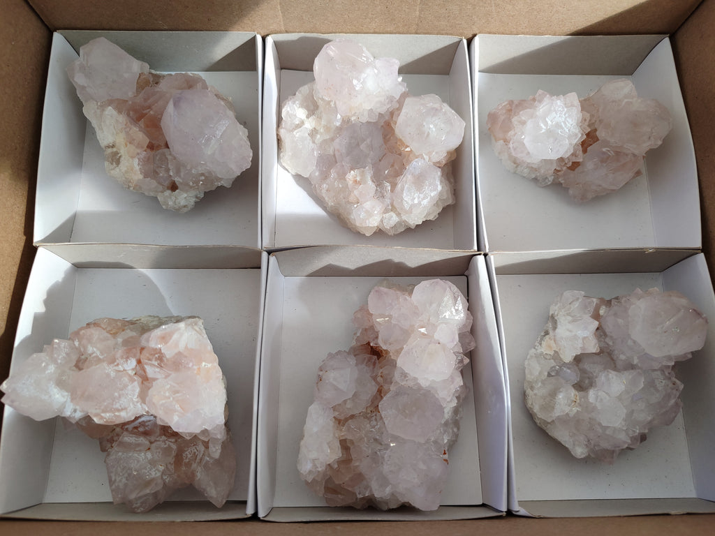 Natural White Cactus Spirit Amethyst Clusters x 6 From South Africa - Toprock Gemstones and Minerals 