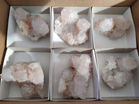 Natural White Cactus Spirit Amethyst Clusters x 6 From South Africa
