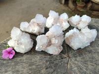 Natural White Cactus Spirit Amethyst Clusters x 6 From South Africa