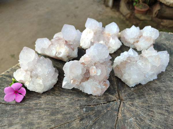 Natural White Cactus Spirit Amethyst Clusters x 6 From South Africa