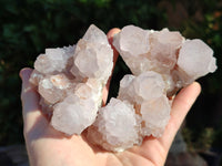 Natural White Cactus Spirit Amethyst Clusters x 6 From South Africa
