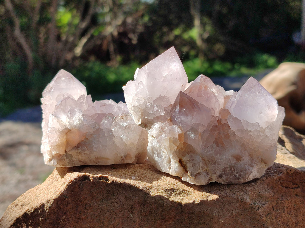 Natural White Cactus Spirit Amethyst Clusters x 6 From South Africa - Toprock Gemstones and Minerals 