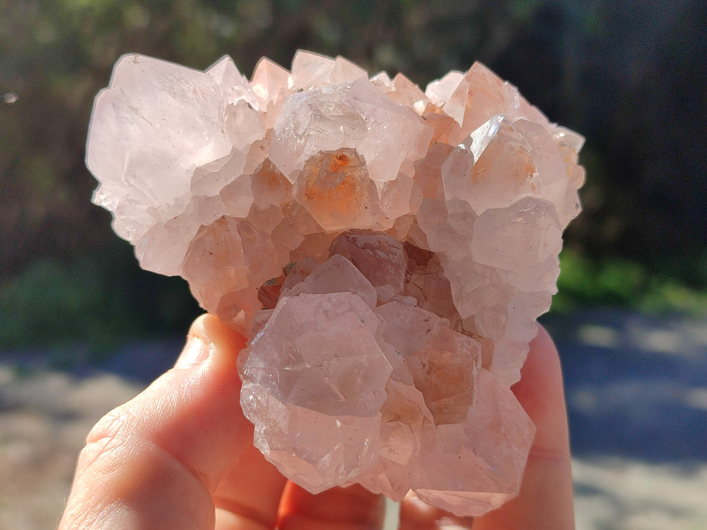 Natural White Cactus Spirit Amethyst Clusters x 6 From South Africa - Toprock Gemstones and Minerals 